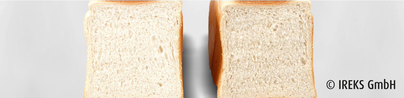 Zwei angeschnittene Toastbrote stehend vor weißem Hintergrund