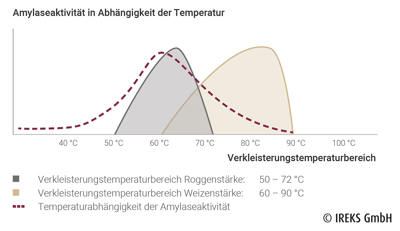 Amylaseaktivität in Abhängigkeit der Temperatur 