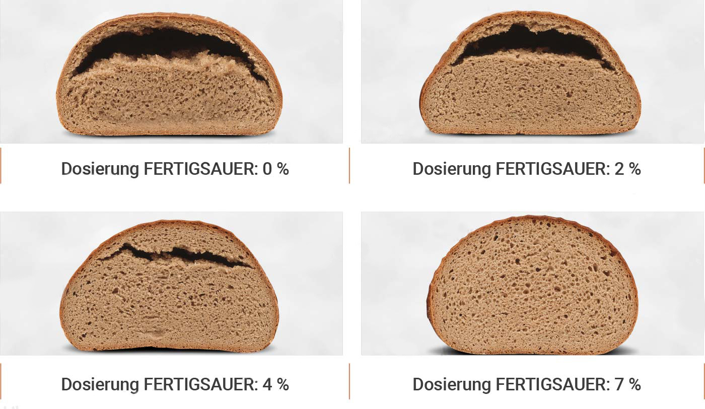 Beispiel der Versäuerung an einem Brot in vier unterschiedlichen Stadien
