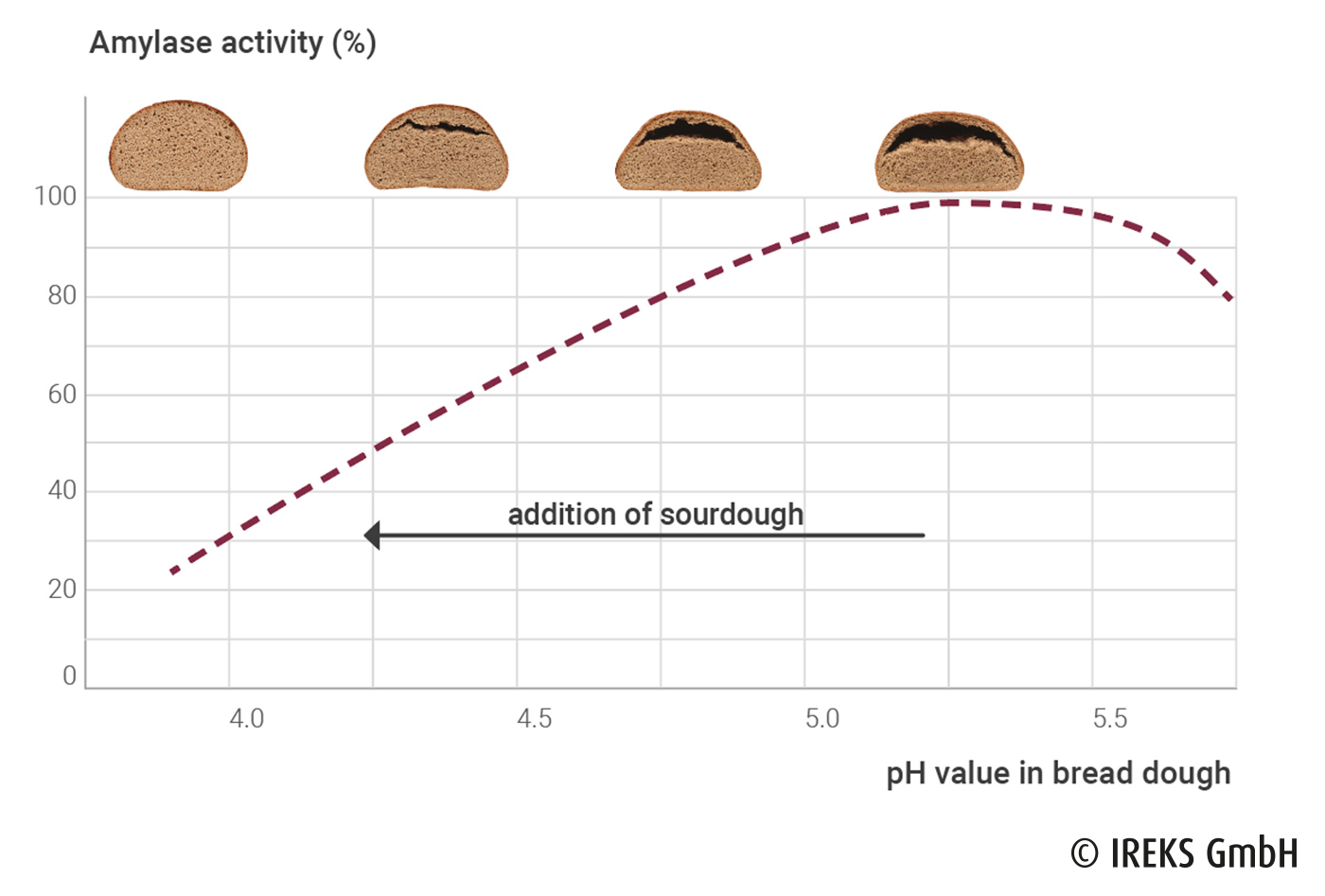 Influence of sourdough addition on pH value, amylase activity and baking behaviour 